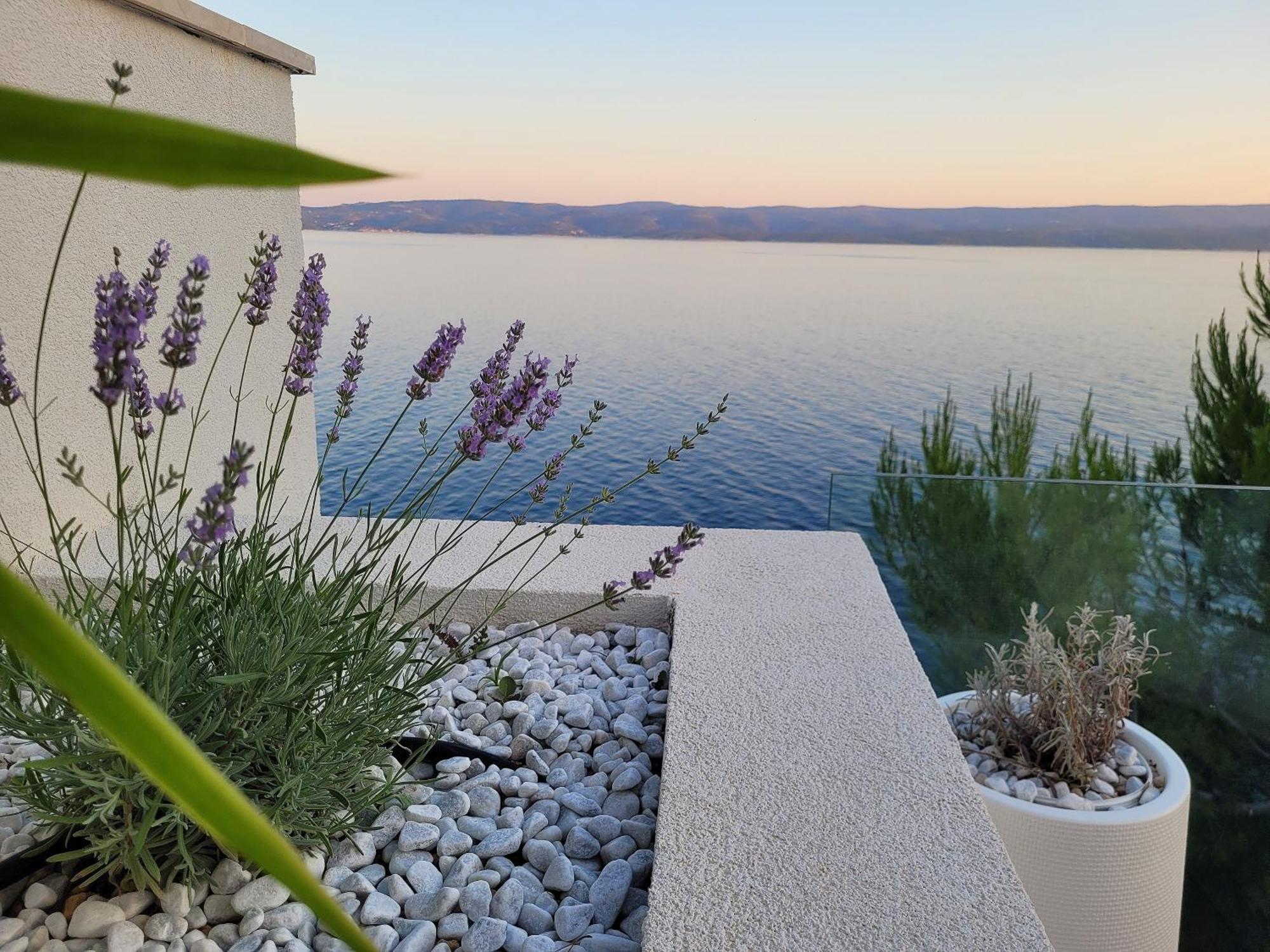 Luxury Apartments Villa Opera Marusici  Exterior photo